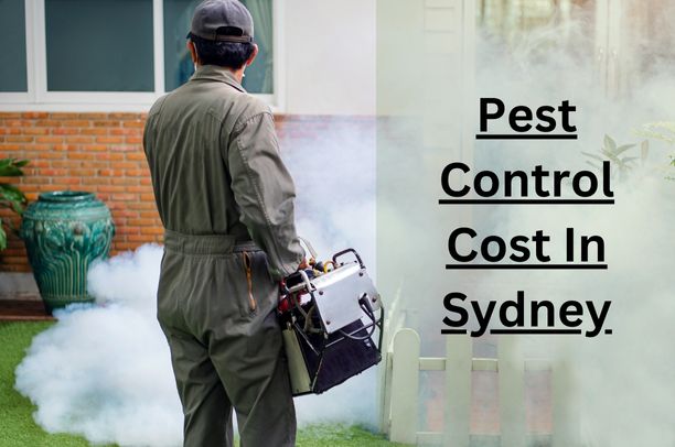 PEST CONTROL COST SYDNEY